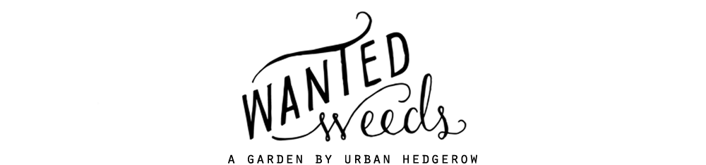 Wanted Weeds | A Garden by Urban Hedgerow